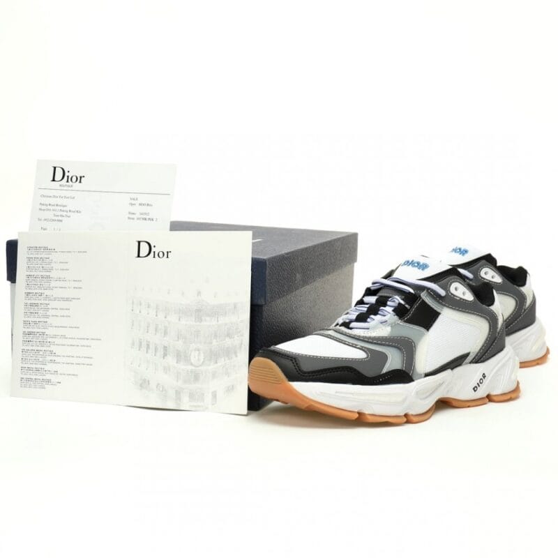 【AT10934】ディオール（Dior）CD1ロートップスニーカー - ファッションスポーツの美学を再定義 | Dior Paris