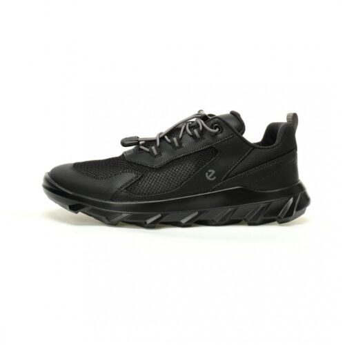 【AT12137】ECCO Mx Low Gore-tex ドライブシリーズ: プロ仕様の都市アウトドアシューズ | LV