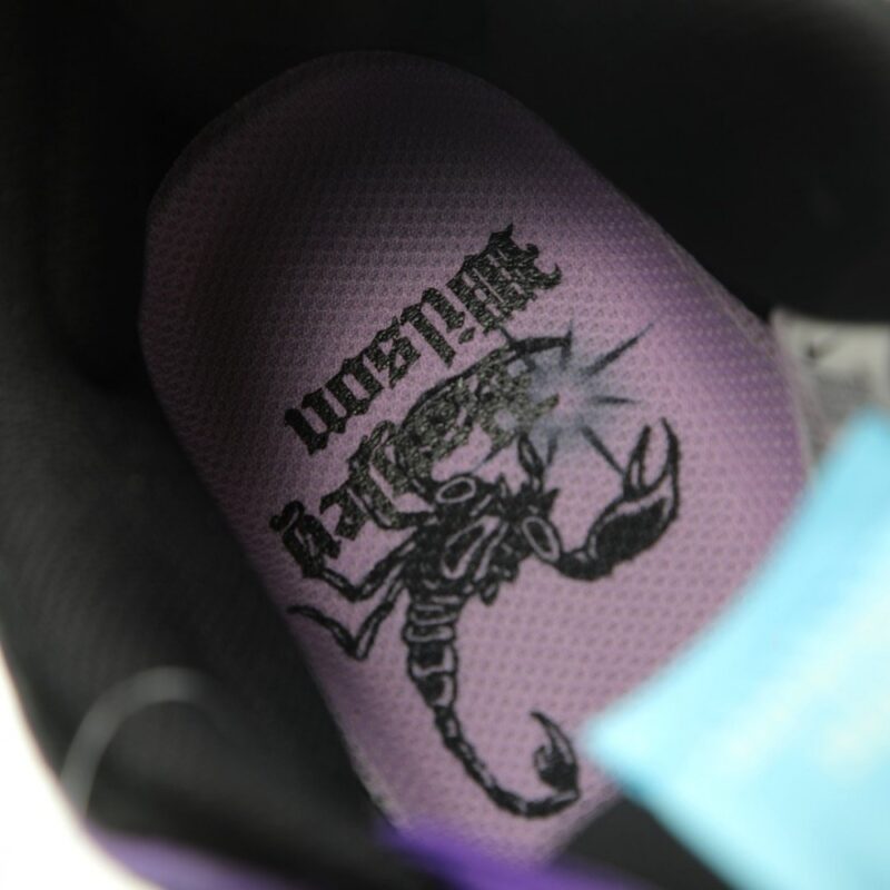 【AT15165】ナイキSBダンクローコートパープルプロスケートシューズ | Dunk