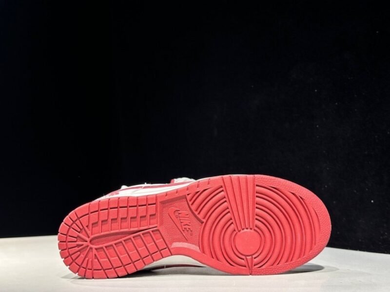 【AT2996】Nike x The North Face Nike Dunk Low スニーカー SBシリーズ The North Face コラボ クラシックで汎用性のあるカジュアルスポーツシューズ 厚いシュータンの充填により、快適性が大幅に向上します