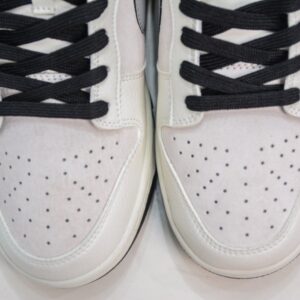 【AT3208】Dior x Nike Nike SB Dunk Low x DIOR ダブルフック ベージュ/ブラック