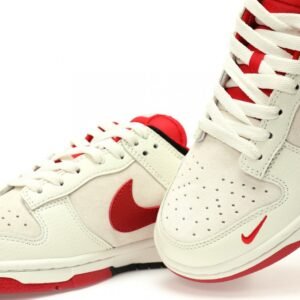 【AT9122】ナイキ x ザ・ノースフェイス コラボ SB Dunk Low スニーカー | Nike x The North Face